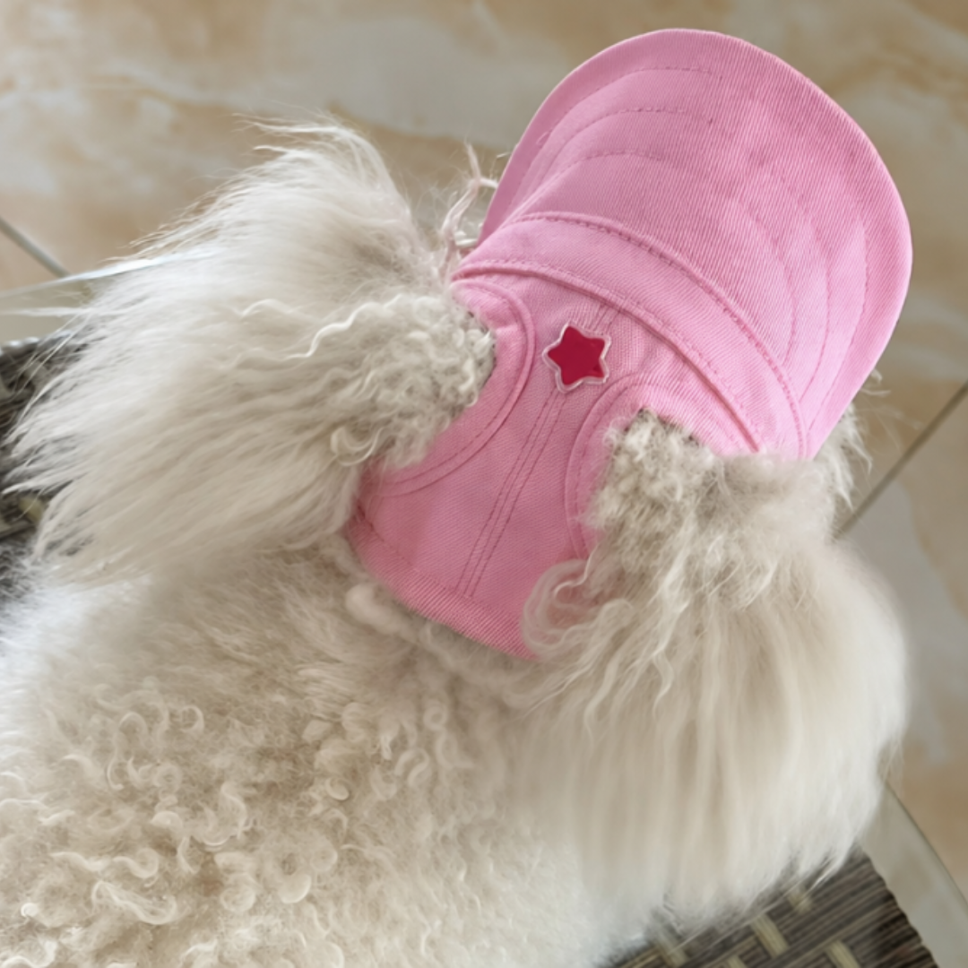 Royalty Pets™ – Stylish Pet Hat