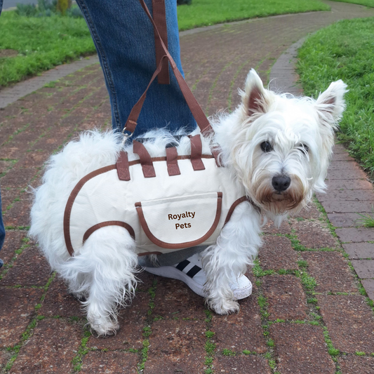 Royalty Pets™ 3-in-1 Pet Carrier Harness