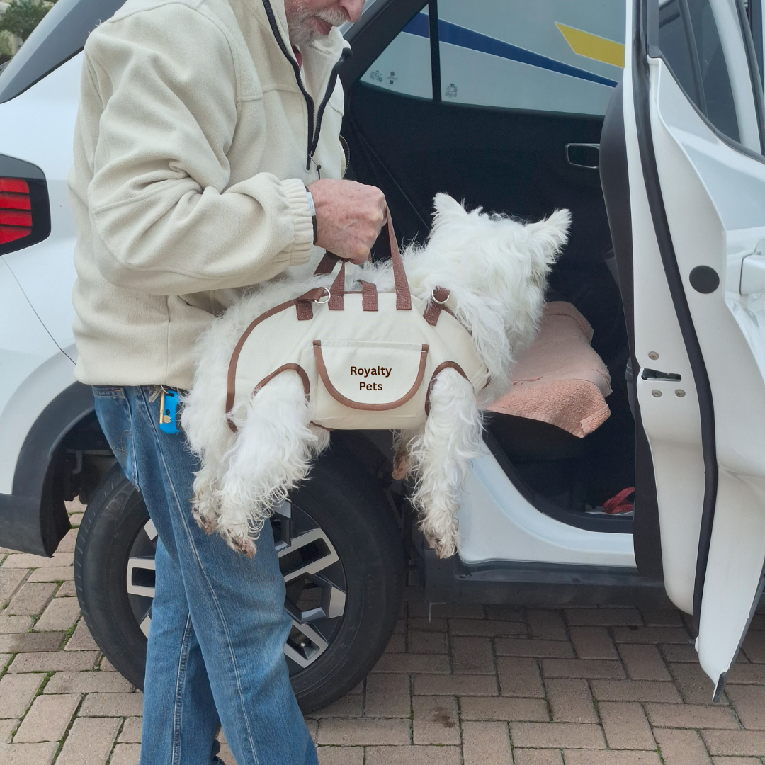 Royalty Pets™ 3-in-1 Pet Carrier Harness