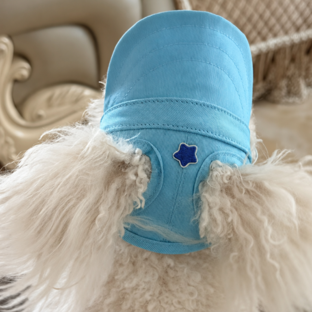 Royalty Pets™ – Stylish Pet Hat