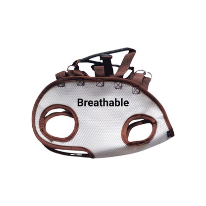 Royalty Pets™ 3-in-1 Pet Carrier Harness