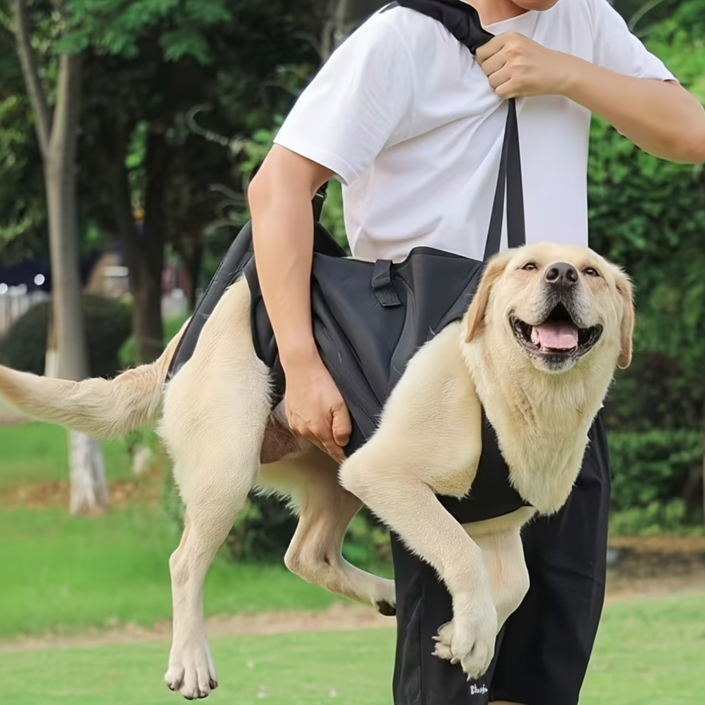 Royalty Pets™ Mobility Support Harness