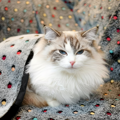 Royalty Pets™ Soft Plush Pet Blanket